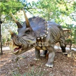 Triceratops przywrócony w 90%.