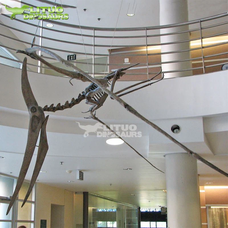 Szkielet Pteranodona