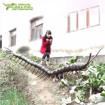 Animatroniczny Scolopendra