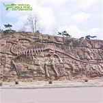Płaskorzeźba skamieniałości dinozaurów